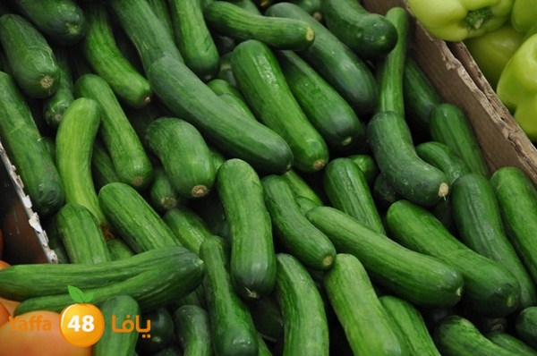 souq gan temar (41).JPG